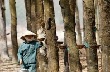 5 cổ phiếu cần quan tâm ngày 13/4 